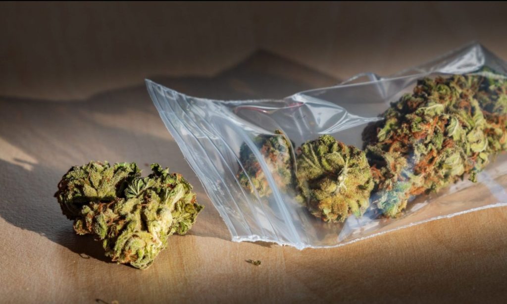 cannabis bags